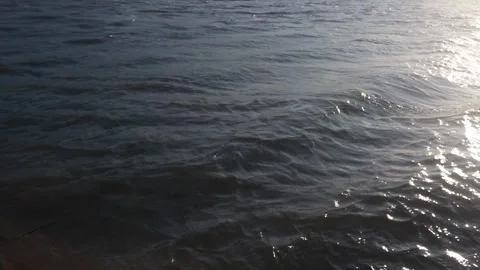 Calm Water Surface of a Lake Stock Footage 289307439