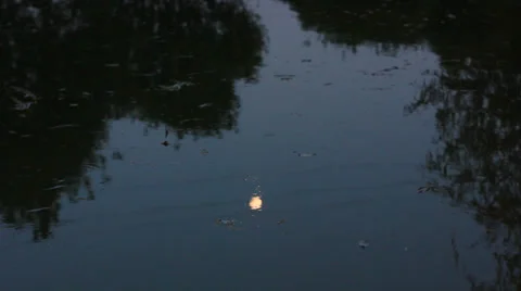 Calm water surface of lake at night Stock Footage 27880127
