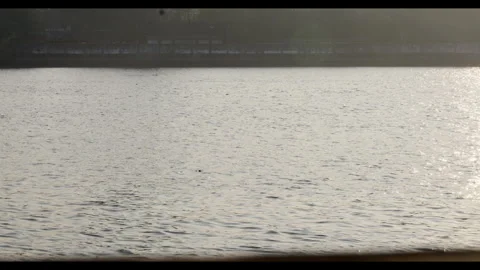 Calm Water Surface with Light Reflection for Mindfulness Background Use Stock Footage 327800266