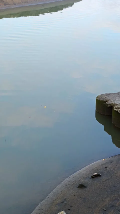 Calm Water Surface with Sky Reflection and Gentle Ripples Stock Footage 341398042