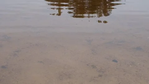 Calm water surface in Summer Stock Footage 246565926