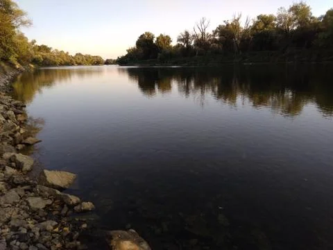 Calm water surrounded by trees Stock-Fotos