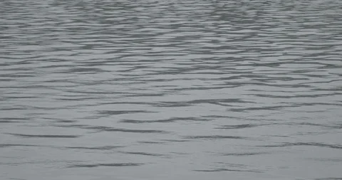 Calm Water Texture Video stock 91841103