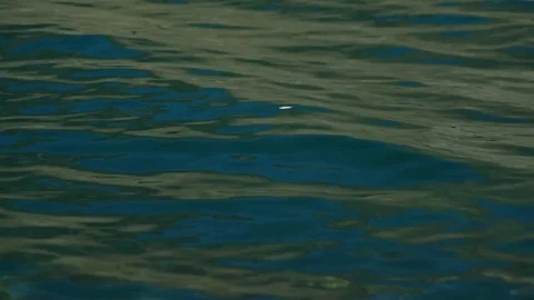 Calm Water Waves Stock Footage 82273886