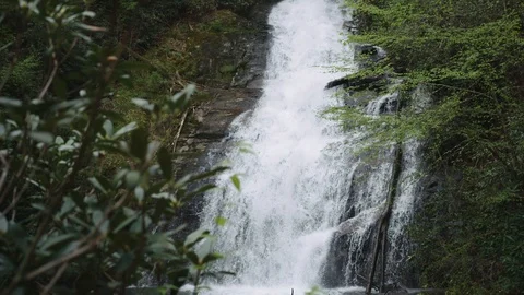 Calm Waterfall Stock Footage 128784596
