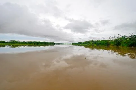 Calm Waters on the Amazon Stockfoto's