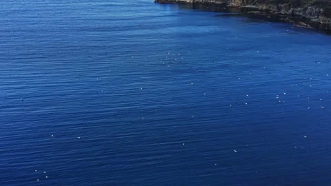 Calm waters and distant shorelines viewed from above on a sunny day Stock Footage 325722611