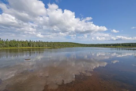 Calm Waters and Summer Clouds Stockfoto's