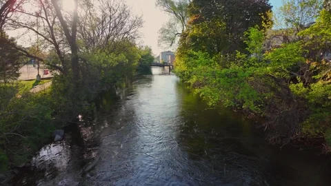 Calm waters of the Boardman River flowing between lush green banks in downtown Stock Footage 342051218