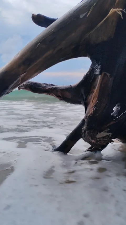 Calm Waters Before Dusk Stock Footage 326161650