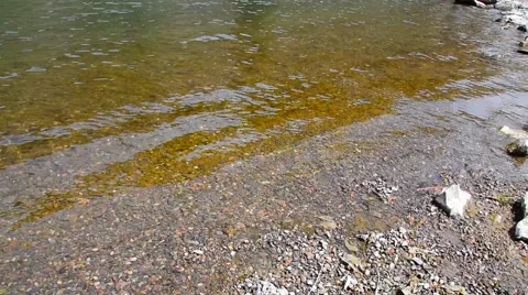 Calm Water's Edge Stock Footage 49040394