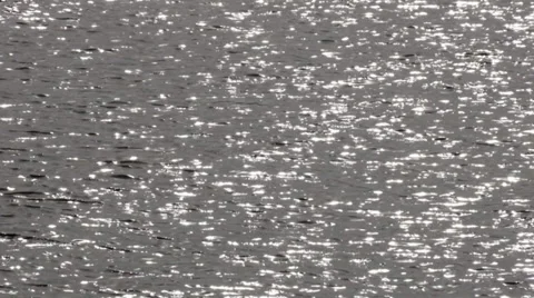 Calm Waters Stock Footage 35517640