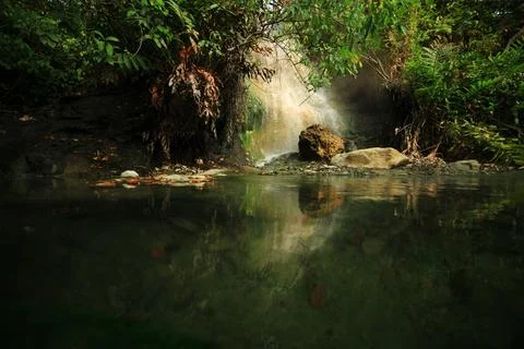 Calm Waters in forest Stock Photos