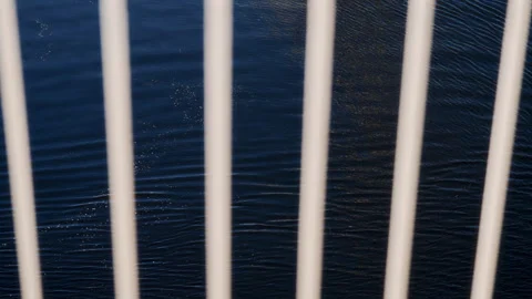 Calm Waters Framed By White Vertical Railing Stock Footage 265908430