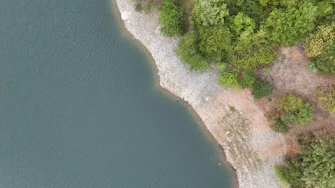 From the calm waters of a lake Stock Footage 296527330