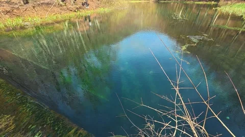Calm waters reflect sky and trees. Grza River Spring, Serbia Видео 332373561
