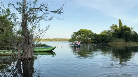 Calm waters reflecting the lush greenery and rustic boats at lakeside Stock Footage 318013440