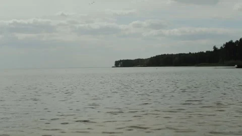 Calm Waters Surrounded by a Lush Forest Background in a Beautiful and Tranquil Stock Footage 309817066