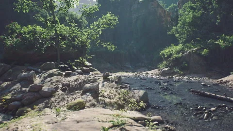 Calm waterway setting with natural elements and soothing visuals Stock Footage 331524645