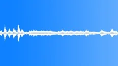 Calm waves and sea gulls (loopable) Sound Effect
