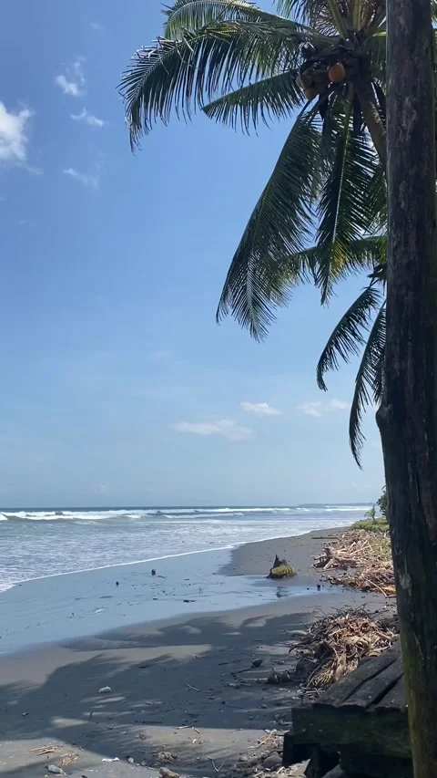 Calm waves on the beach in bali Stock Footage 213837627