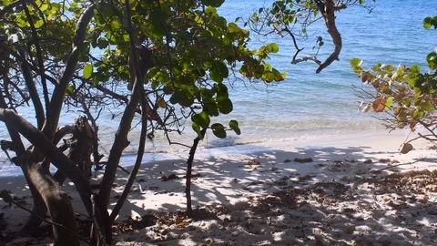 Calm waves on the beach Stock Footage 108519837