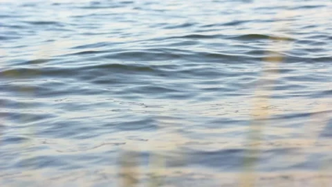Calm waves on the blue water surface of the river Video stock 220829885