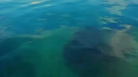 Calm Waves in a Clear Sea Stock Footage 241141977