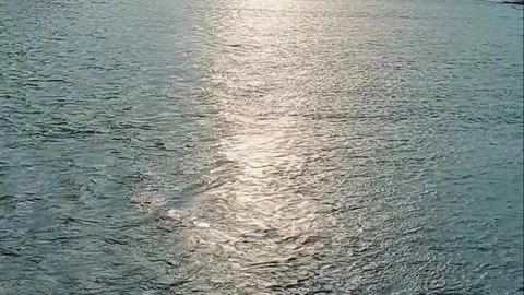 Calm Waves in a Clear Sea Stock Footage 241142904