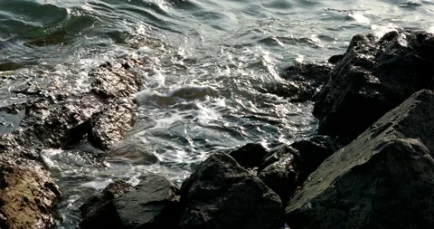 Calm waves coming to the shore Stock Footage 179331381