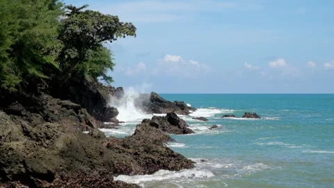 Calm waves on the edge of the coral beach and green trees Video stock 319804162