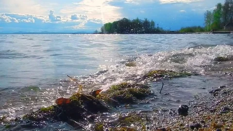 Calm waves on lake in the light of sunset Video stock 84777476