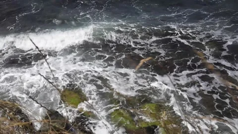 Calm waves movements during summer evening Stock Footage 143938641