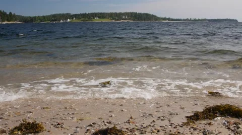 Calm waves on a rocky and sandy shore Stock Footage 52951906