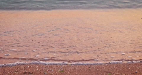 Calm waves roll on empty sandy beach pink and orange sky reflectiobns at sunset Stock Footage 146020331