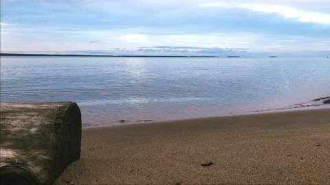 Calm waves roll on the sandy beach. The old wooden log lies in the foreground. Stock Footage 80355788
