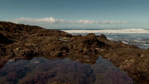 Calm waves rolling over the lava field Stock Footage 247075504