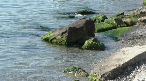 Calm Waves on Sea Coast Bathing Big Stones in Sunlight Stock Footage 65282279