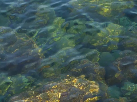 Calm waves of the sea Stock Footage 77453099