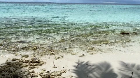 Calm waves by the shore Stock-Footage 133601763