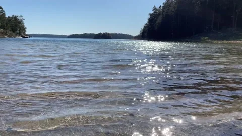 Calm waves on sunny beach next to a forest Video stock 154137928