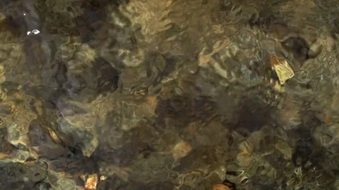 Calm waves on the water surface in the city fountain and the glare of sun light Stock Footage 248530554