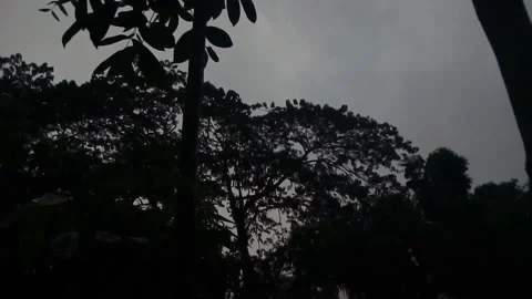 Calm Weather At dusk Stock-Footage 155268406