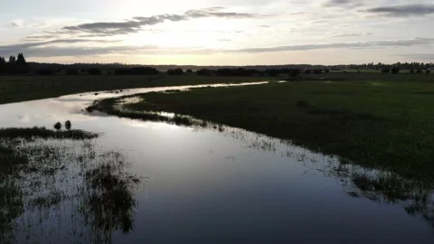 Calm Winding Stream Reflection Drone Aerial Shot Stock Footage 156011511