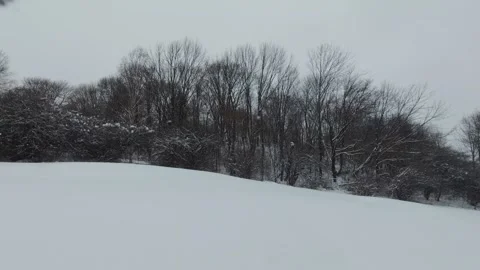 Calm Winter Landscape With Falling Snow And Forest Stock Footage 323423345
