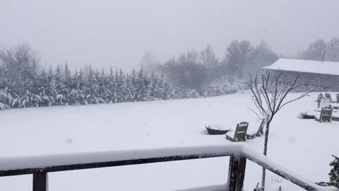 Calm Winter Snowstorm: Tranquil Snowfall Scenery Video stock 314716281
