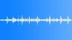 Calm Woodpecker Birds Forest 2Sound Effect