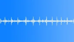 Calm Woodpecker Birds ForestSound Effect