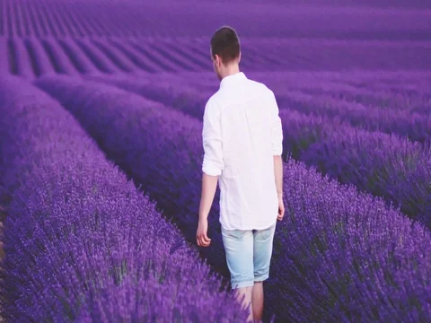 Calm Young Man Walking in Lavender Field at Sunset. SLOW MOTION 120 FPS. 스톡 동영상 73437031