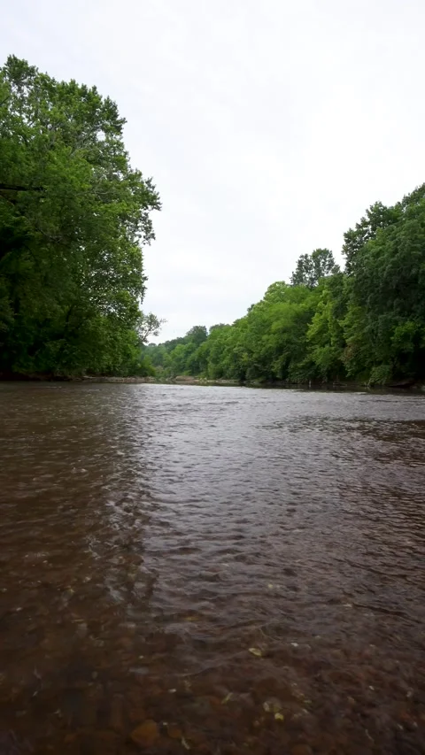 Calming babbling river Vertical Stock Footage 243529185
